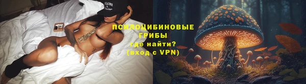 стаф Алексеевка